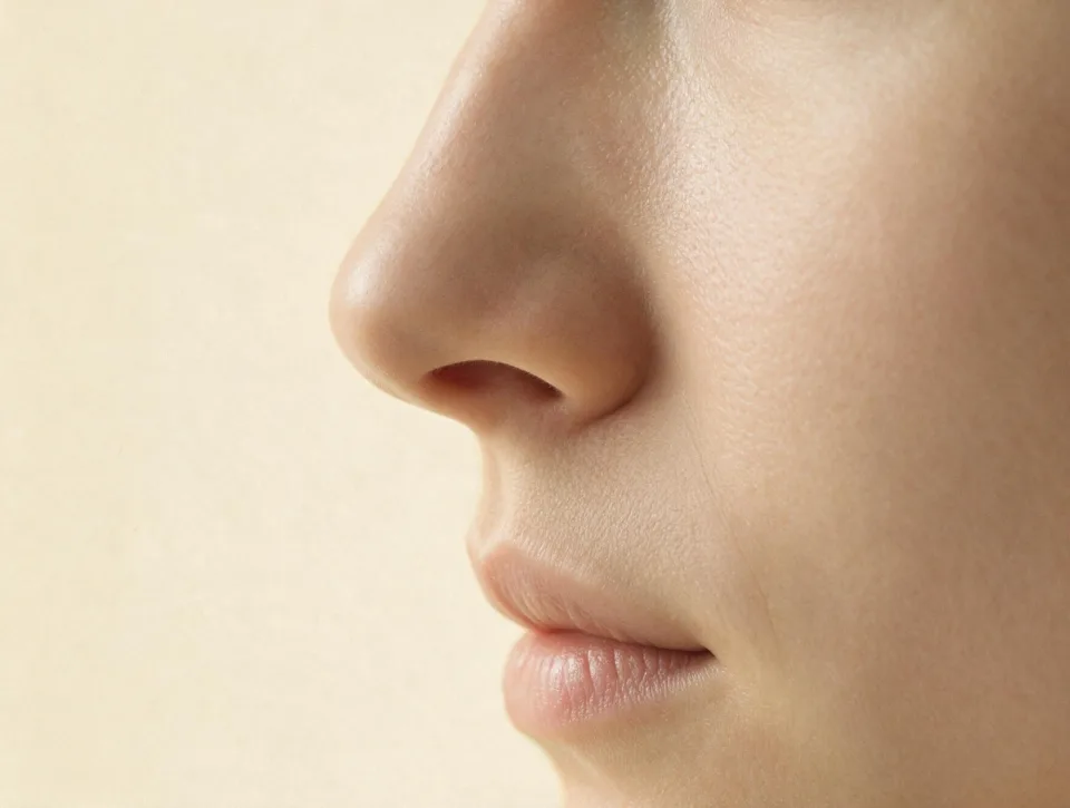 Side profile close crop of a nose with a straight nasal bridge